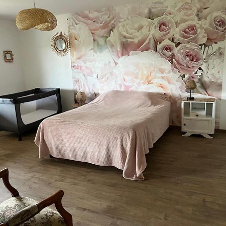 Chez Ghislaine Villa Saint-Appolinard  Ngoại thất bức ảnh